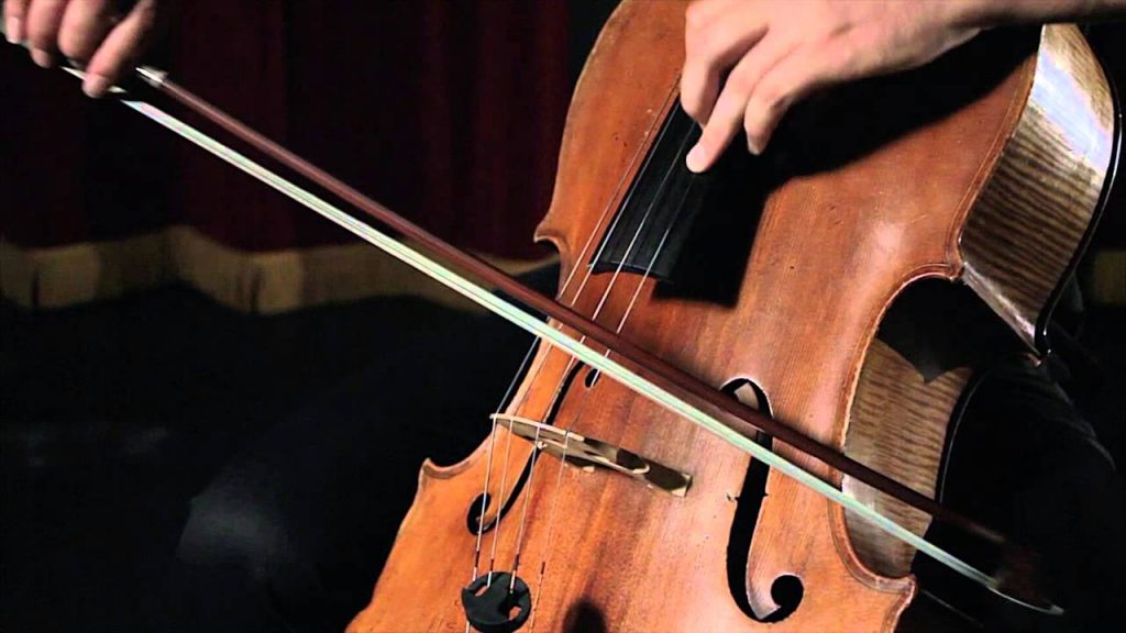 David Johnstone violoncello