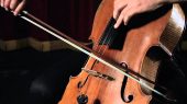 David Johnstone violoncello